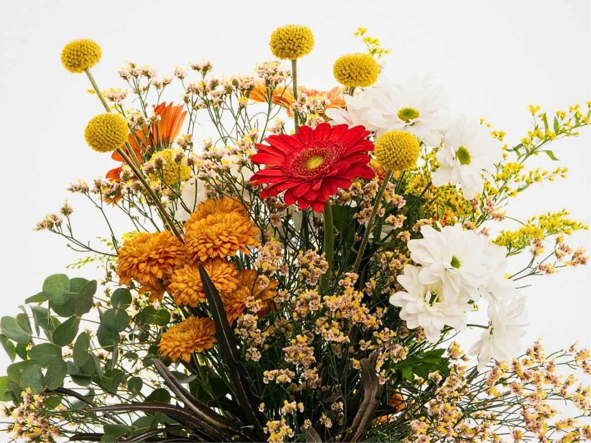 La Copa del Mundo no es sólo un juego. Es un motor de demanda. La visión de Danziger sobre cómo los momentos globales crean nuevas oportunidades para el consumo de flores.